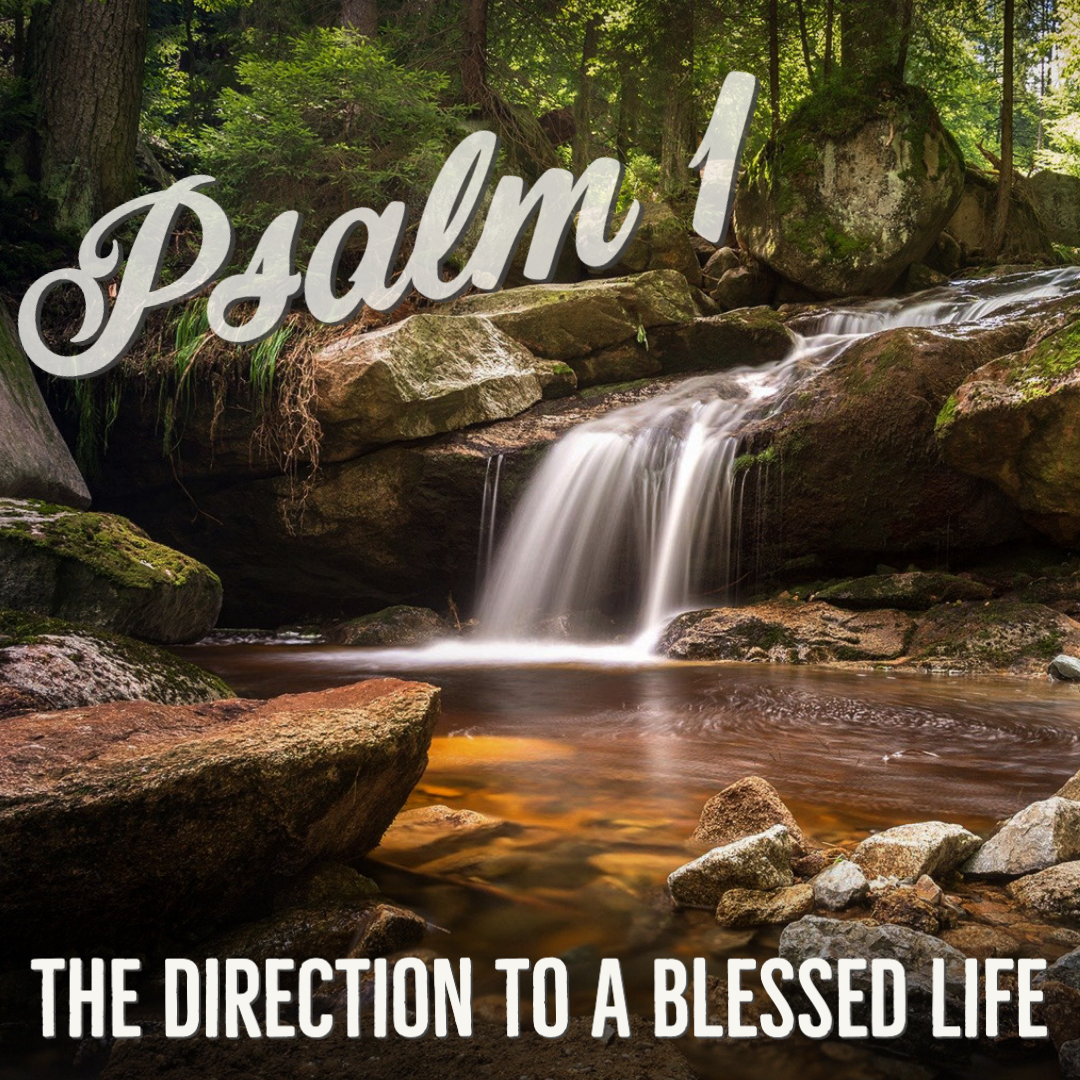 Psalm 1: The Direction to a Blessed Life